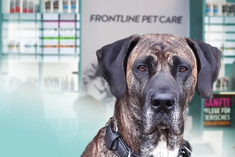 Frontline Pet Care Influencer Marketing am POI