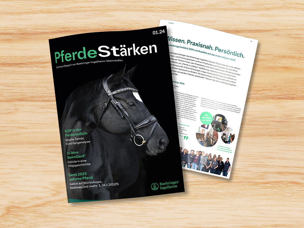 Header_Boehringer_Equine_4zu3