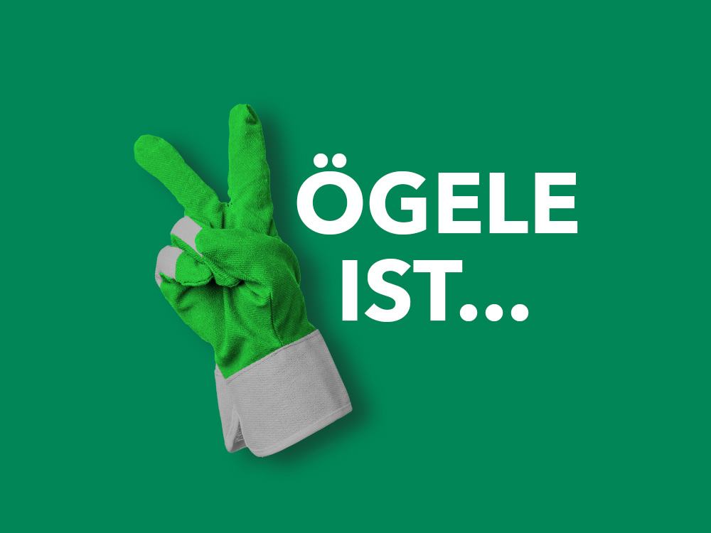 Voegele_Victory_4zu3